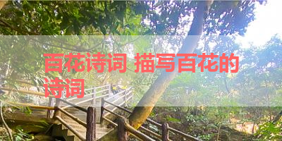 百花诗词 描写百花的诗词