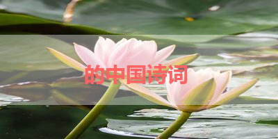 的中国诗词 