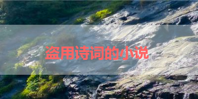 盗用诗词的小说 