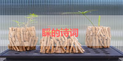 睬的诗词 