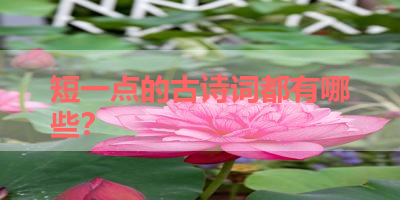 短一点的古诗词都有哪些？ 