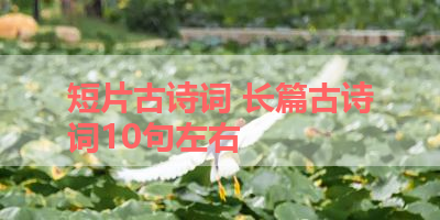 短片古诗词 长篇古诗词10句左右
