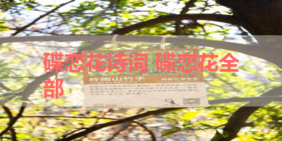 碟恋花诗词 碟恋花全部