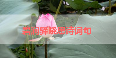 碧涧驿晓思诗词句 