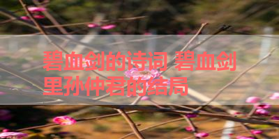 碧血剑的诗词 碧血剑里孙仲君的结局