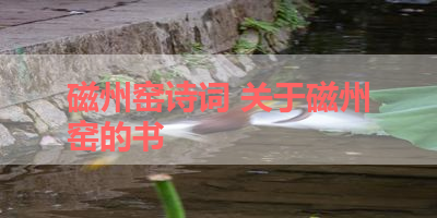 磁州窑诗词 关于磁州窑的书