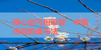 禅心剑气相思骨：中国诗词的道与法 