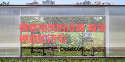 禅意相关的诗词 有关禅意的诗句 