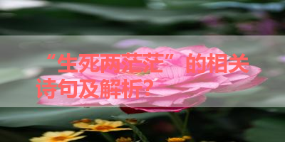 “生死两茫茫”的相关诗句及解析？ 