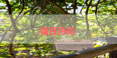福豆诗词 