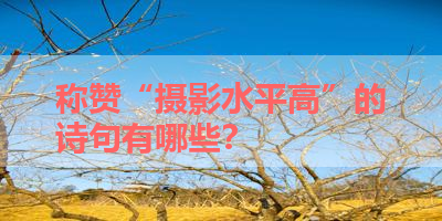 称赞“摄影水平高”的诗句有哪些？ 