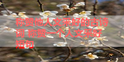 称赞他人文采好的古诗词 称赞一个人文采好短句