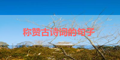 称赞古诗词的句子 