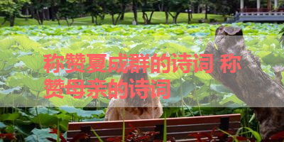 称赞夏成群的诗词 称赞母亲的诗词