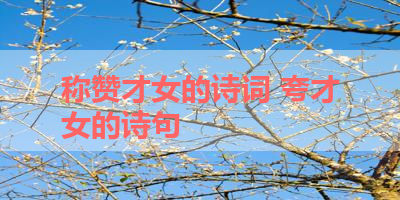 称赞才女的诗词 夸才女的诗句