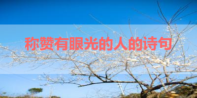 称赞有眼光的人的诗句 