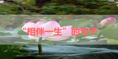 “相伴一生”的句子 