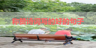 称赞诗词写的好的句子 