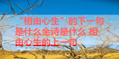 “相由心生”的下一句是什么全诗是什么 相由心生的上一句