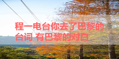 程一电台你去了巴黎的台词 有巴黎的对白