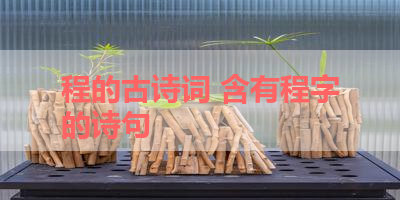程的古诗词 含有程字的诗句 