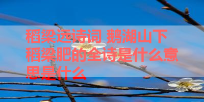 稻梁远诗词 鹅湖山下稻梁肥的全诗是什么意思是什么 