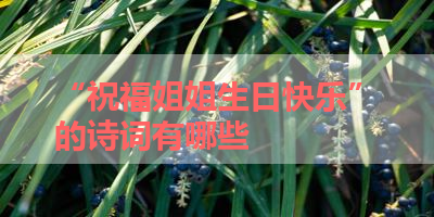 “祝福姐姐生日快乐”的诗词有哪些 