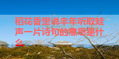 稻花香里说丰年听取蛙声一片诗句的意思是什么 