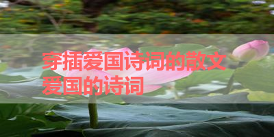 穿插爱国诗词的散文 爱国的诗词