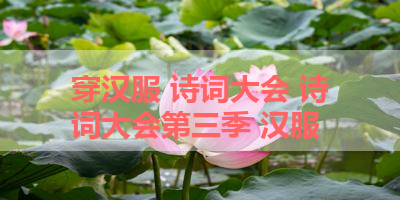 穿汉服 诗词大会 诗词大会第三季 汉服