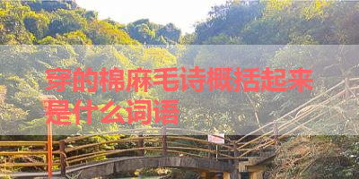 穿的棉麻毛诗概括起来是什么词语 