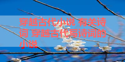 穿越古代小说 有关诗词 穿越古代写诗词的小说