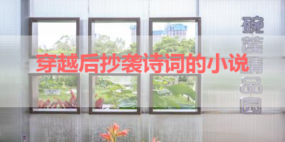 穿越后抄袭诗词的小说 