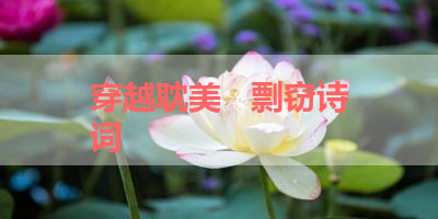 穿越耽美   剽窃诗词 