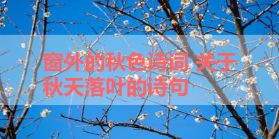 窗外的秋色诗词 关于秋天落叶的诗句 