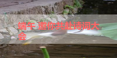 端午 邀你共赴诗词大会 