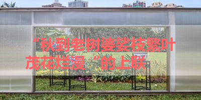 “秋到老树婆娑枝繁叶茂花烂漫“的上联 