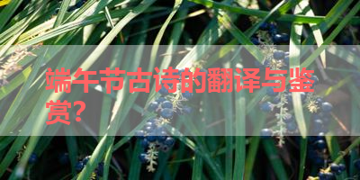 端午节古诗的翻译与鉴赏？ 