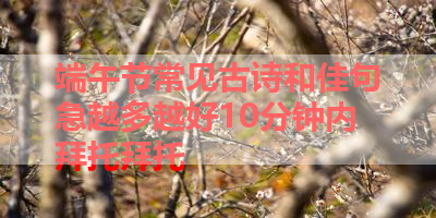 端午节常见古诗和佳句急越多越好10分钟内拜托拜托 