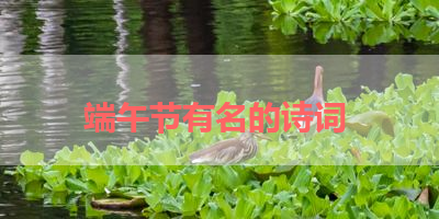 端午节有名的诗词 