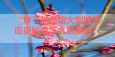 “穿”越唐朝大型城市历史影像怎么启幕的？ 