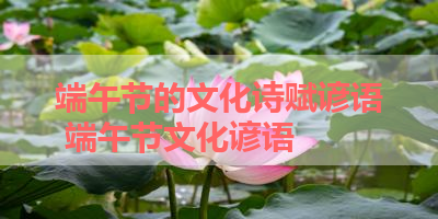 端午节的文化诗赋谚语 端午节文化谚语