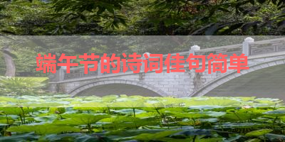 端午节的诗词佳句简单 