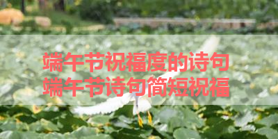 端午节祝福度的诗句 端午节诗句简短祝福