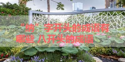 “纳”字开头的成语有哪些 八开头的成语