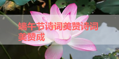 端午节诗词美赞诗词 美赞成