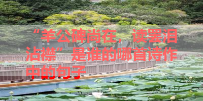 “羊公碑尚在，读罢泪沾襟”是谁的哪首诗作中的句子 