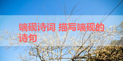 端砚诗词 描写端砚的诗句