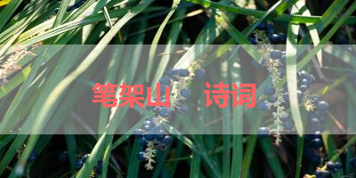 笔架山    诗词 
