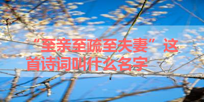 “至亲至疏至夫妻”这首诗词叫什么名字 